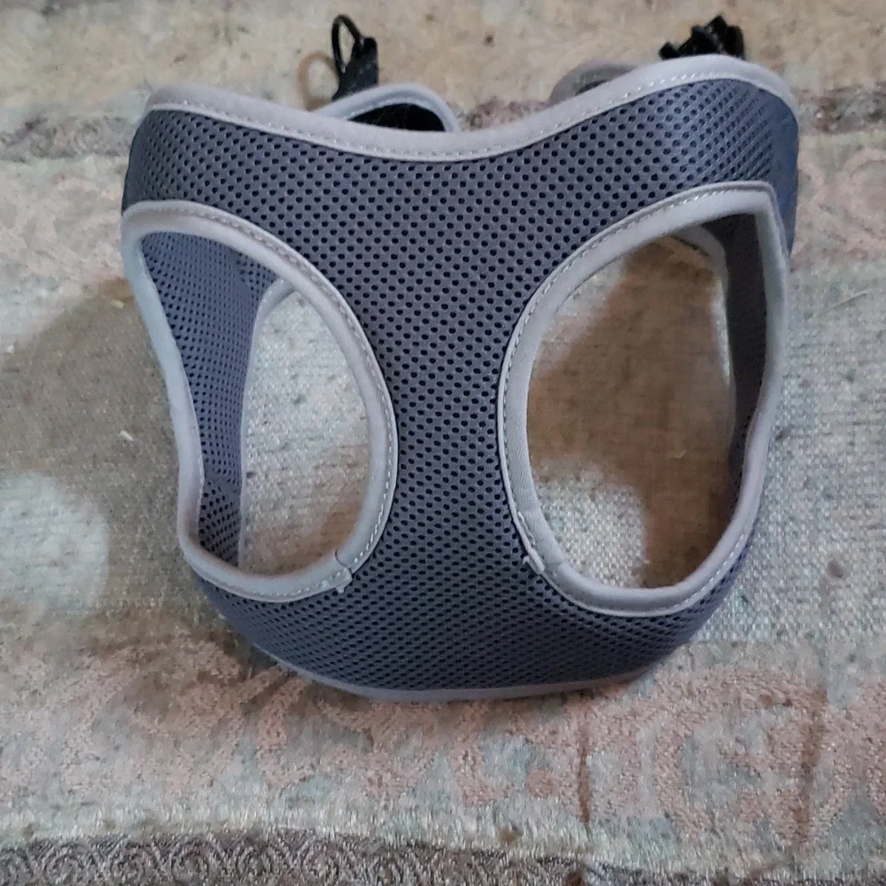Large cat harness with long leash included